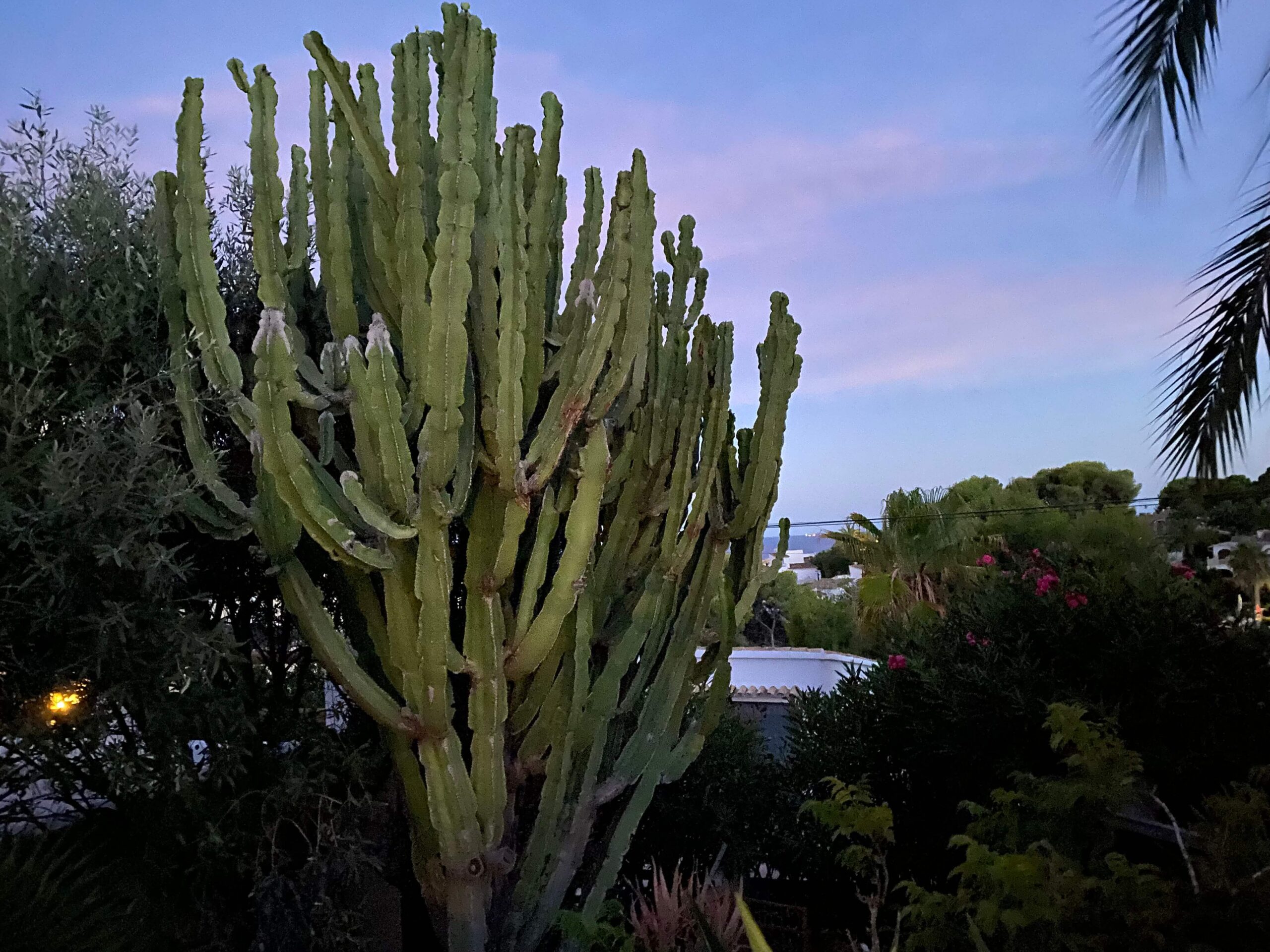 Moraira-casafuentesalvage-011